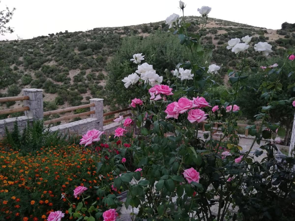 Villa Agno - Βίλα Αγνώ Ano Karies Extérieur photo